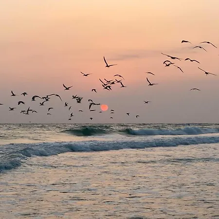 Bright Coastal Condo Walk To Lido Key Beach!